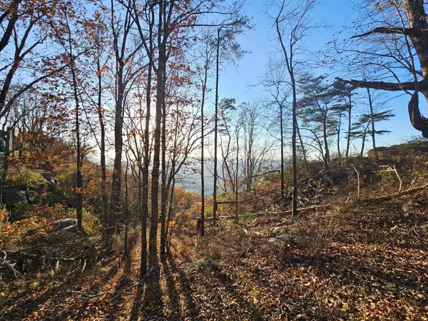 Lookout Mountain, GA 30750,407 Brow Wood Lane