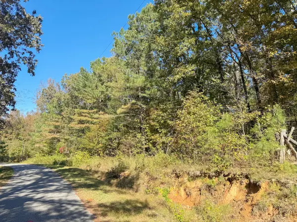 Bruceton, TN 38317,0 Batey LN