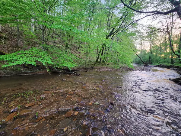 Lawrenceburg, TN 38464,0 Blowing Springs Rd