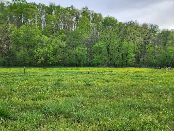 Lawrenceburg, TN 38464,0 Blowing Springs Rd