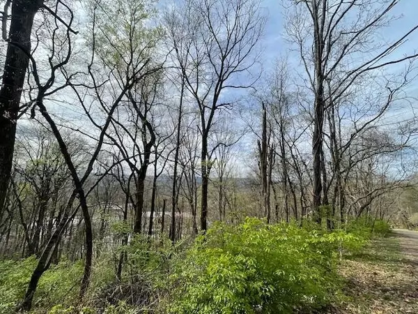 Hixson, TN 37343,1428 Gold Crest Drive