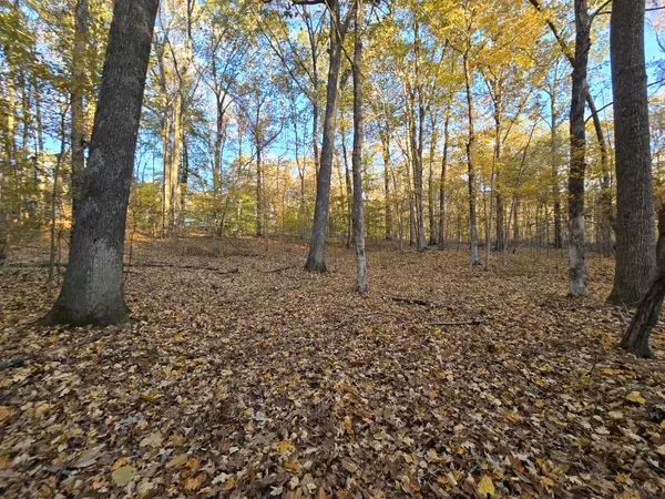 Cadiz, KY 42211,14 Rockcastle Shores