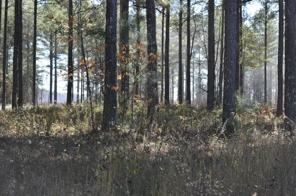 0 Split Rail Way, Guild, TN 37340