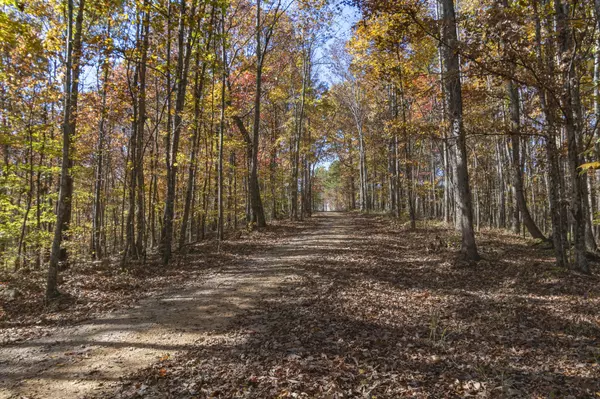 Summertown, TN 38483,202 Ravenridge Rd