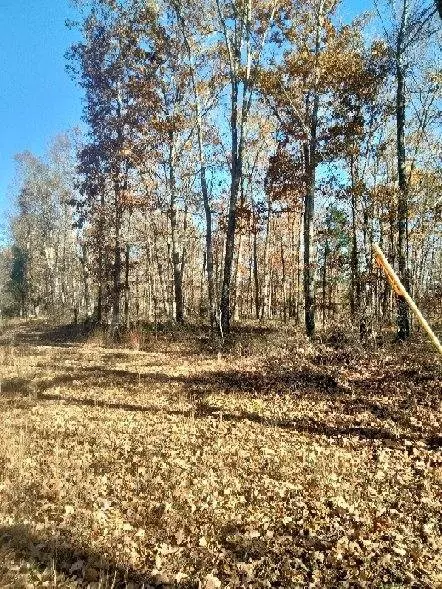 Centerville, TN 37033,5515 Blues Trl #E