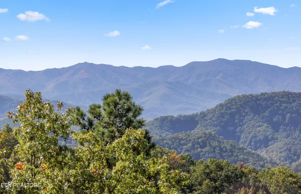 Sevierville, TN 37862,111 Settlers View Lane