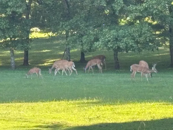 Hermitage, TN 37076,110 Silverstone Ln