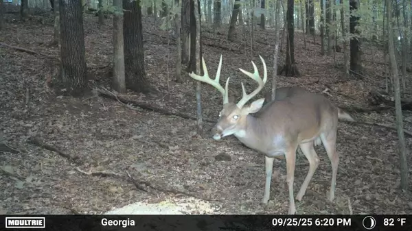 Kelso, TN 37348,225 Kelso Smithland Rd