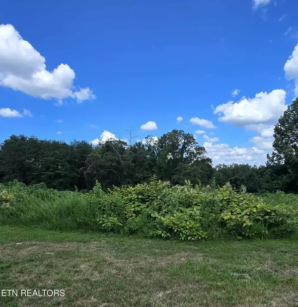 Kingston, TN 37763,52 Paint Rock Ferry Rd