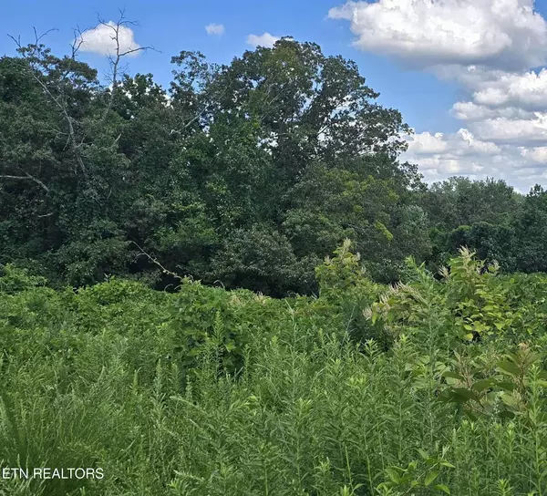 Kingston, TN 37763,52 Paint Rock Ferry Rd