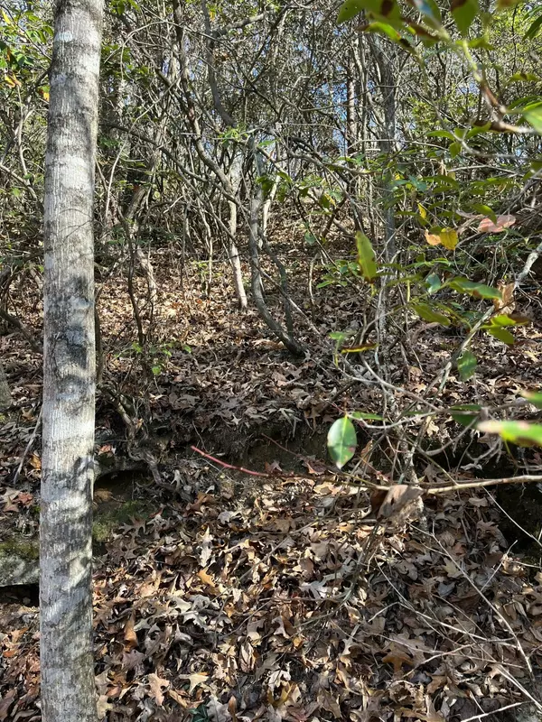 Graysville, TN 37338,5 Hendon Road