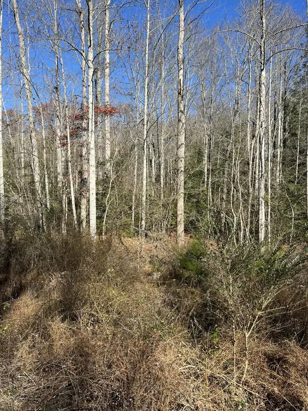 Graysville, TN 37338,5 Hendon Road