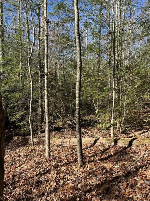 Graysville, TN 37338,5 Hendon Road