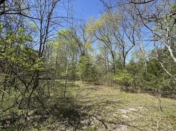 Lebanon, TN 37087,0 Canoe Branch Rd