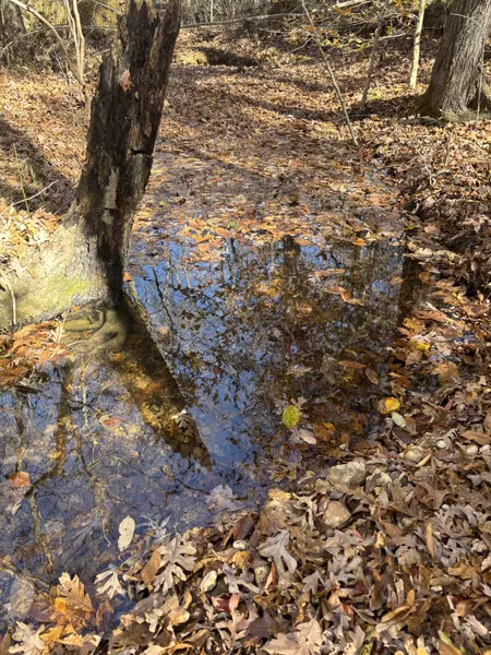 1212 Second Creek Rd, Lutts, TN 38471