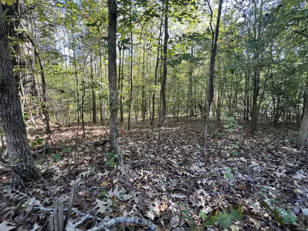 0 Tobaccoport Rd, Bumpus Mills, TN 37028