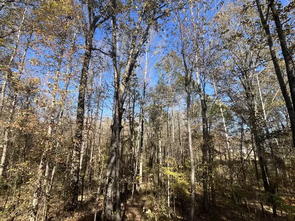 Parsons, TN 38363,0 Indian Park Dr