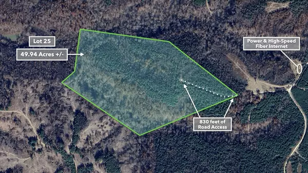 Dover, TN 37058,0 Cox Hollow Rd