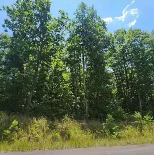 South Pittsburg, TN 37380,41 Wohalie Lane