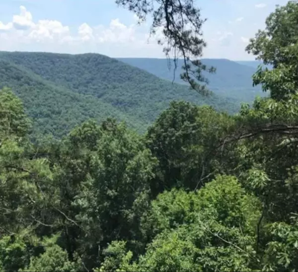 South Pittsburg, TN 37380,41 Wohalie Lane