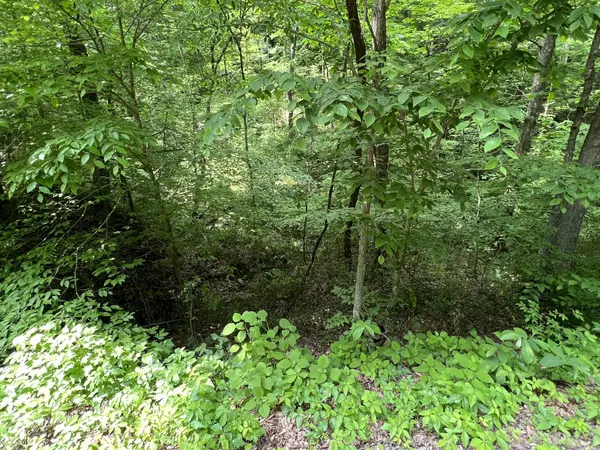 Whites Creek, TN 37189,0 Clay Lick Rd