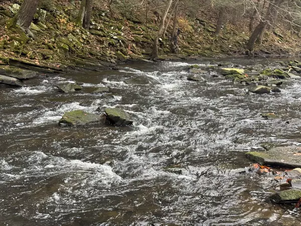 Crossville, TN 38571,4038 Main St #N