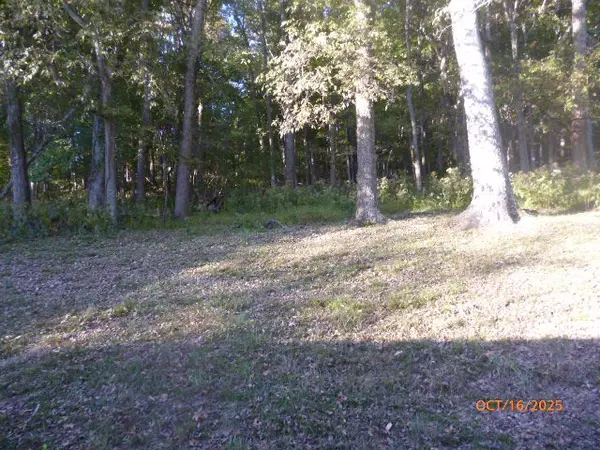 Columbia, TN 38401,110 McKinley Dr