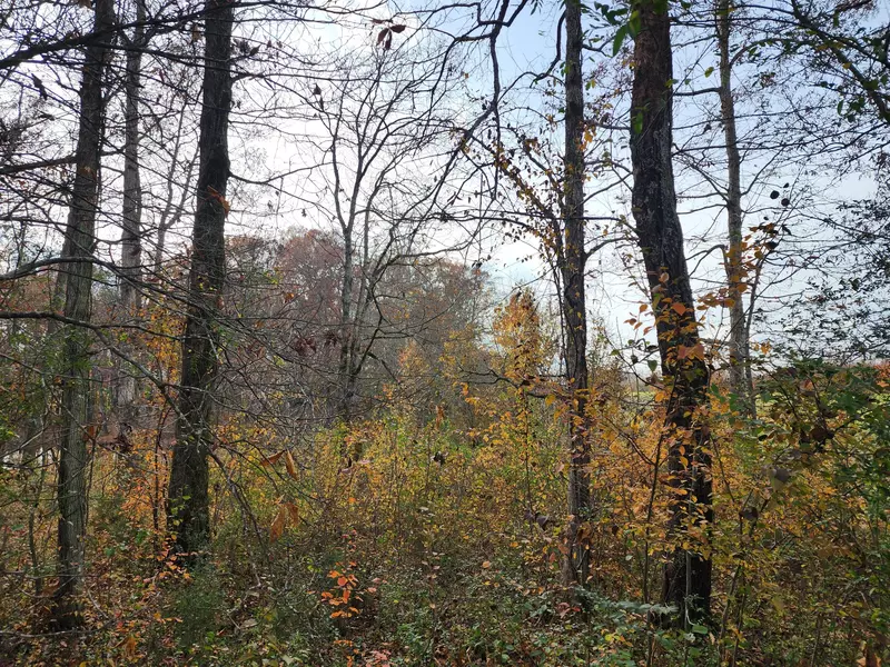 0 Tullahoma Road, Winchester, TN 37398