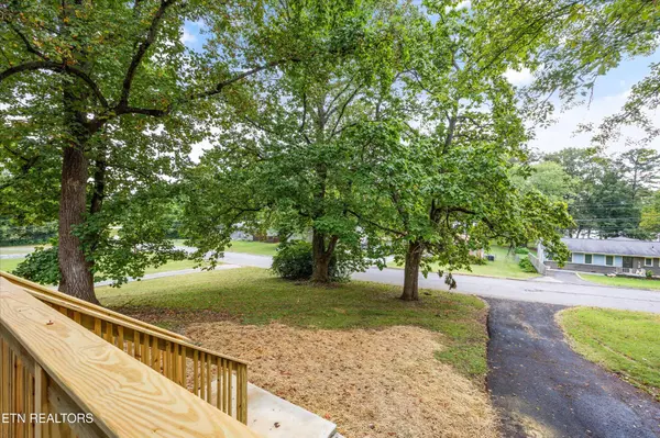 Knoxville, TN 37917,3241 Wilderness Rd