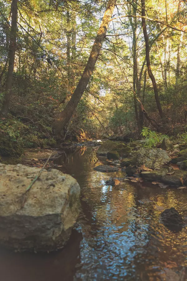 Evensville, TN 37332,1047 Nelson Harrison