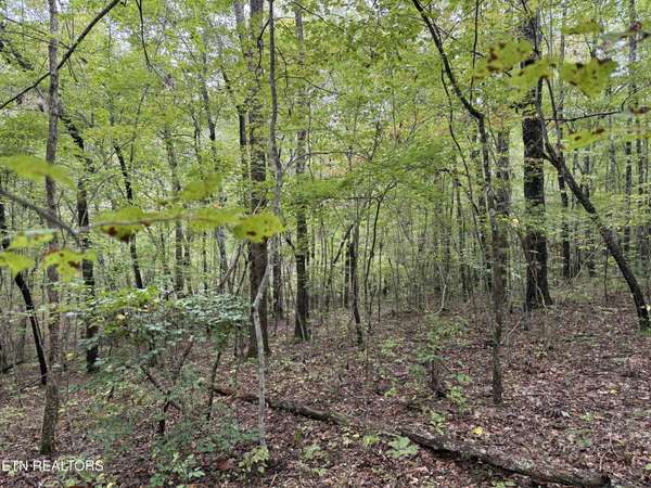 0 Laurel Way, Monterey, TN 38574