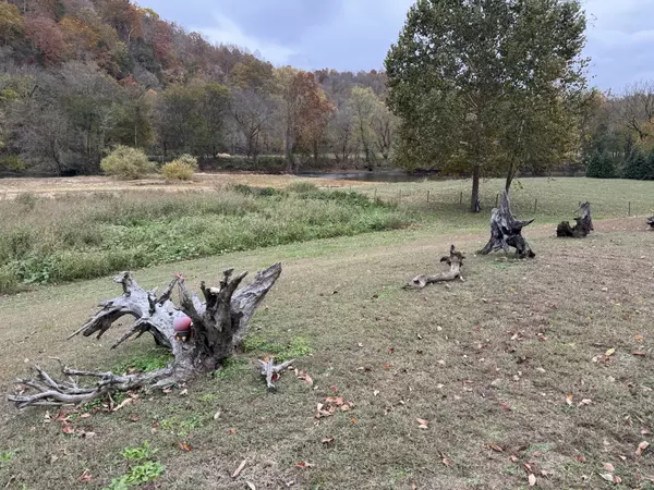 Linden, TN 37096,145 Big Buffalo Estates Cir