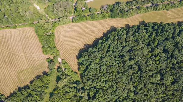 Nunnelly, TN 37137,0 Goodrich Rd