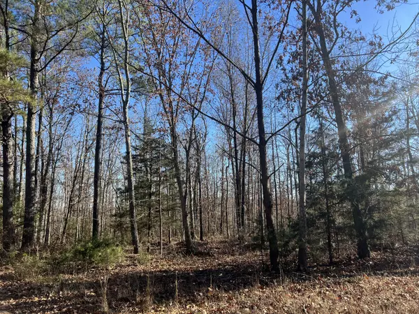 Lyles, TN 37098,0 Sanders Rd