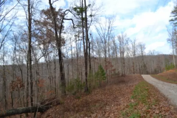 Jamestown, TN 38556,0 Tomahawk Rd