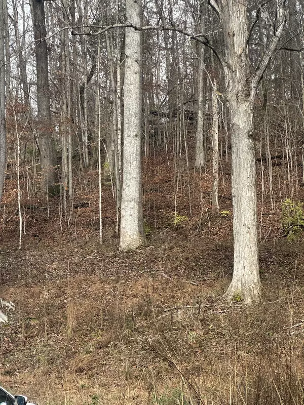 Nashville, TN 37221,0 McCRORY LANE