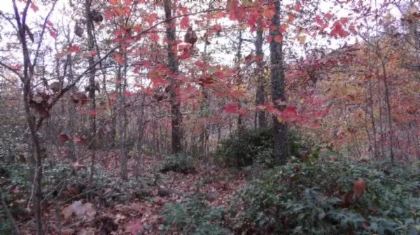 Smithville, TN 37166,0 Drew Court