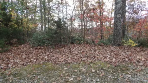 Smithville, TN 37166,0 Drew Court