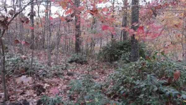 Smithville, TN 37166,0 Drew Court