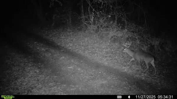 Pulaski, TN 38478,1 Tallent Road