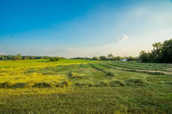 Springfield, TN 37172,1074 Pair Six Dr