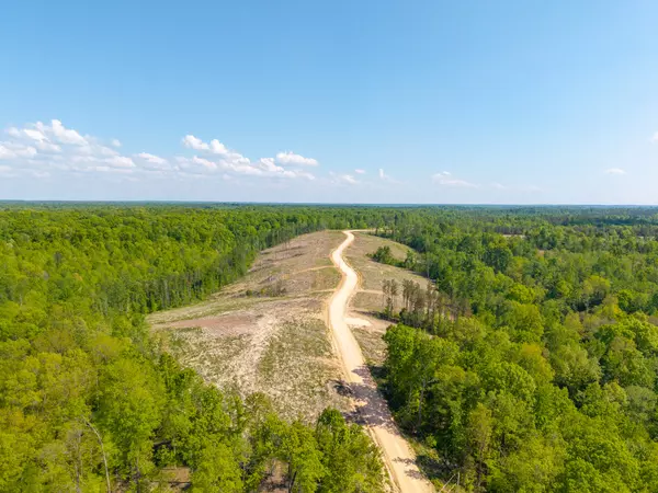 Dover, TN 37058,0 Cox Hollow