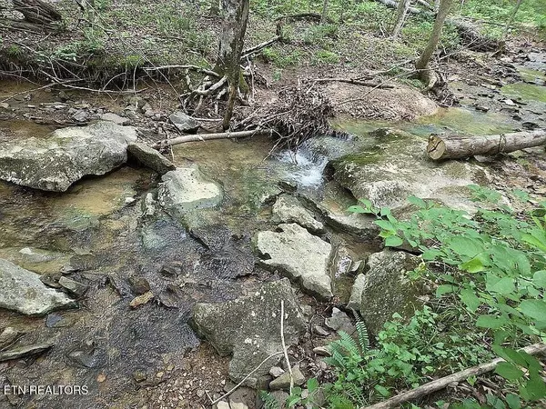 Spencer, TN 38585,235 Sparta St