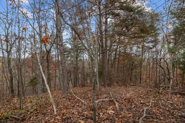 Waverly, TN 37185,0 Riverview Lane