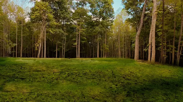 White House, TN 37188,7960 Bill Moss Rd