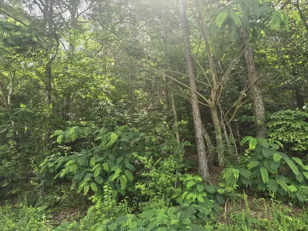 Cleveland, TN 37312,3302 Ridgeway Drive #NW