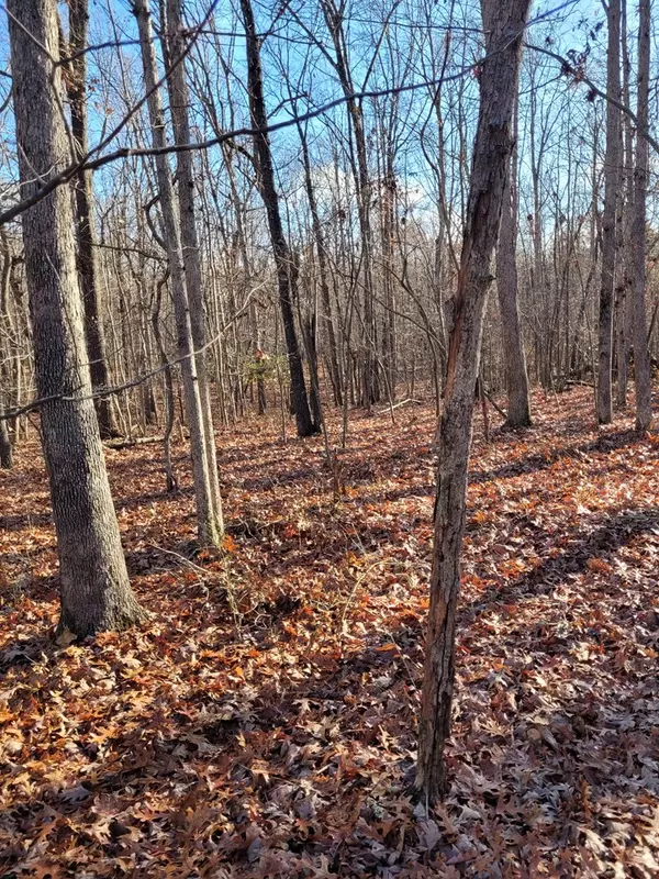 Spencer, TN 38585,0 Hawks Bluff Rd