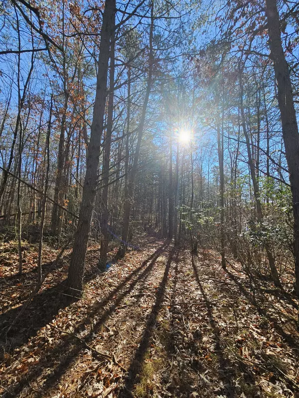 Coalmont, TN 37313,242 Ranger Creek Rd