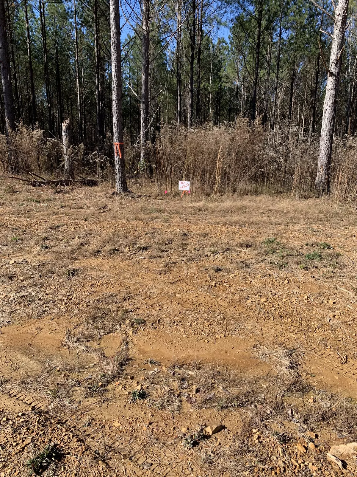 Hohenwald, TN 38462,230 Fernwood Dr