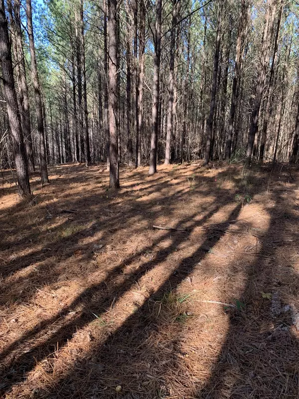 Hohenwald, TN 38462,230 Fernwood Dr